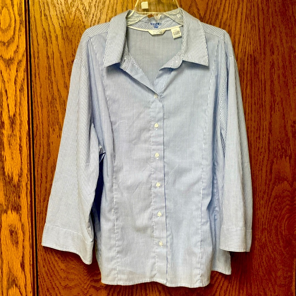 Riders by LEE Blue & White Button Down Shirt